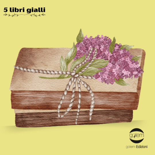 Box Gialla 15 euro