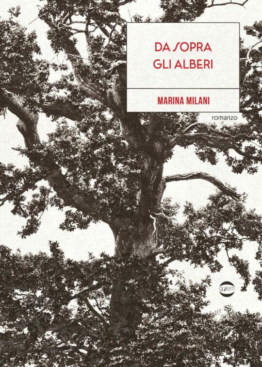 Da sopra gli alberi